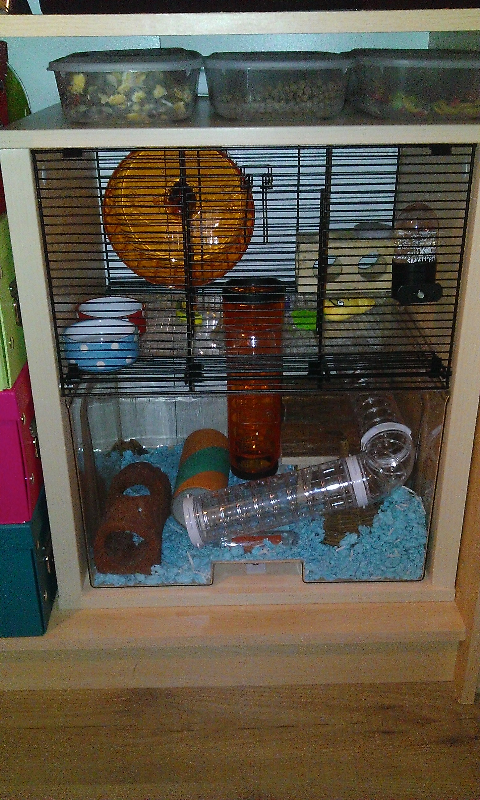 Qute Hamster and Gerbil Cage Hamsters and Gerbils Omlet