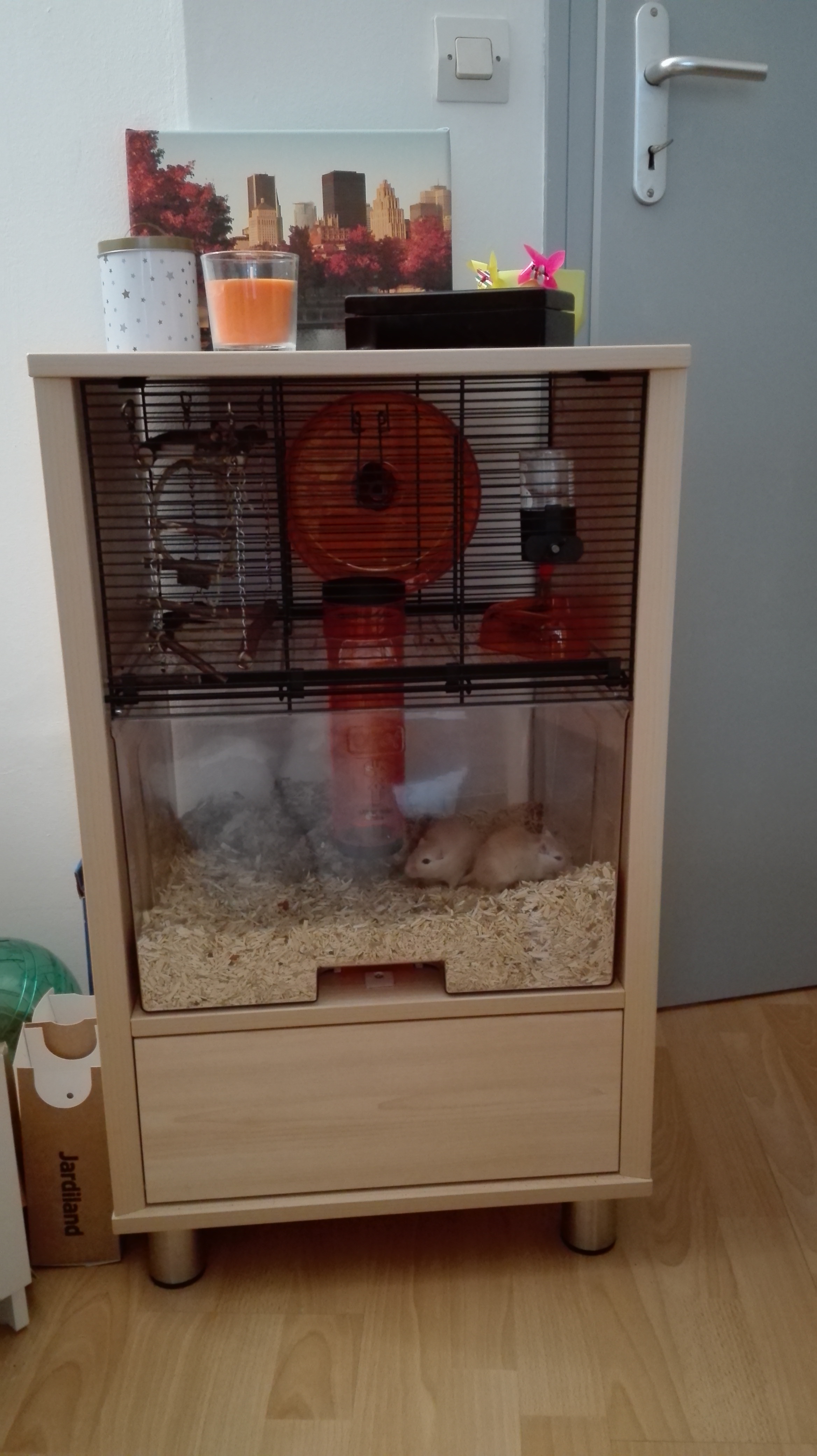 Qute Hamster & Gerbil Cage Stylish Hamster House