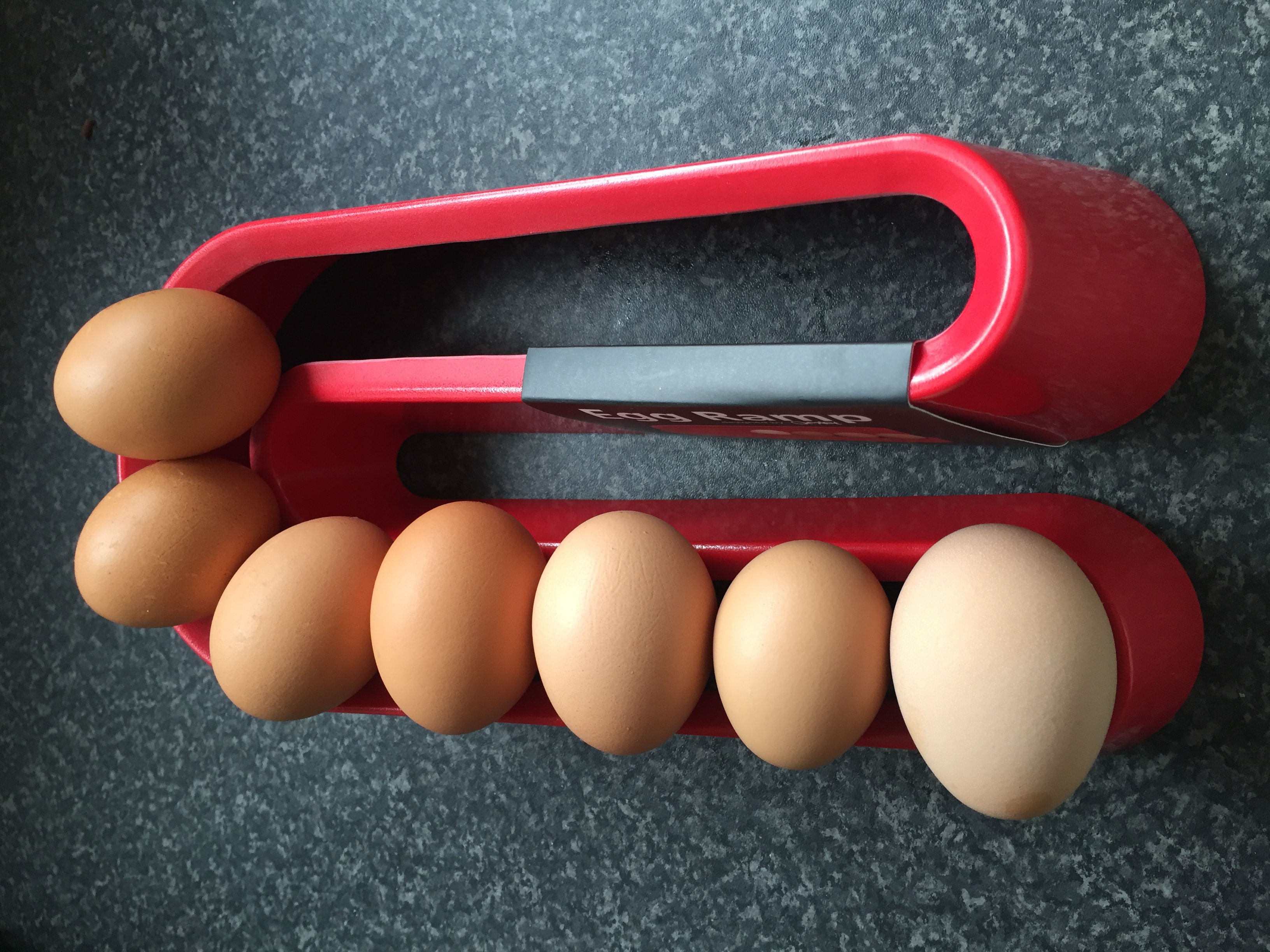 Egg Ramp Chicken Coops and Pet Chicken Accessories Omlet