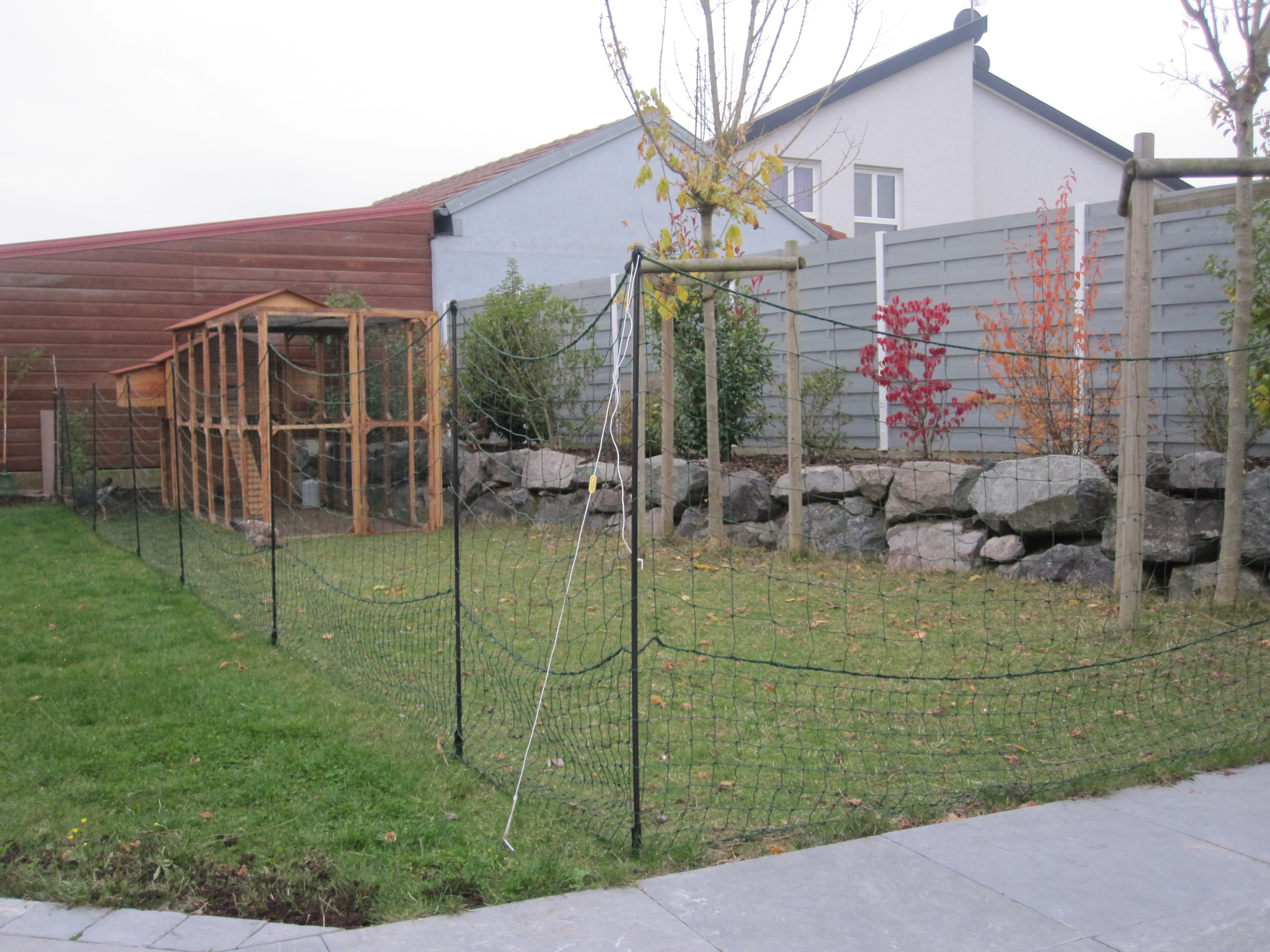 Omlet Chicken Fencing Chicken Keeping Omlet