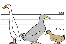 Omlet Cartoon