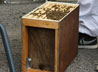 Hive Nucleus Icon