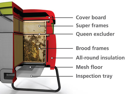 Image of a cut-away Beehaus