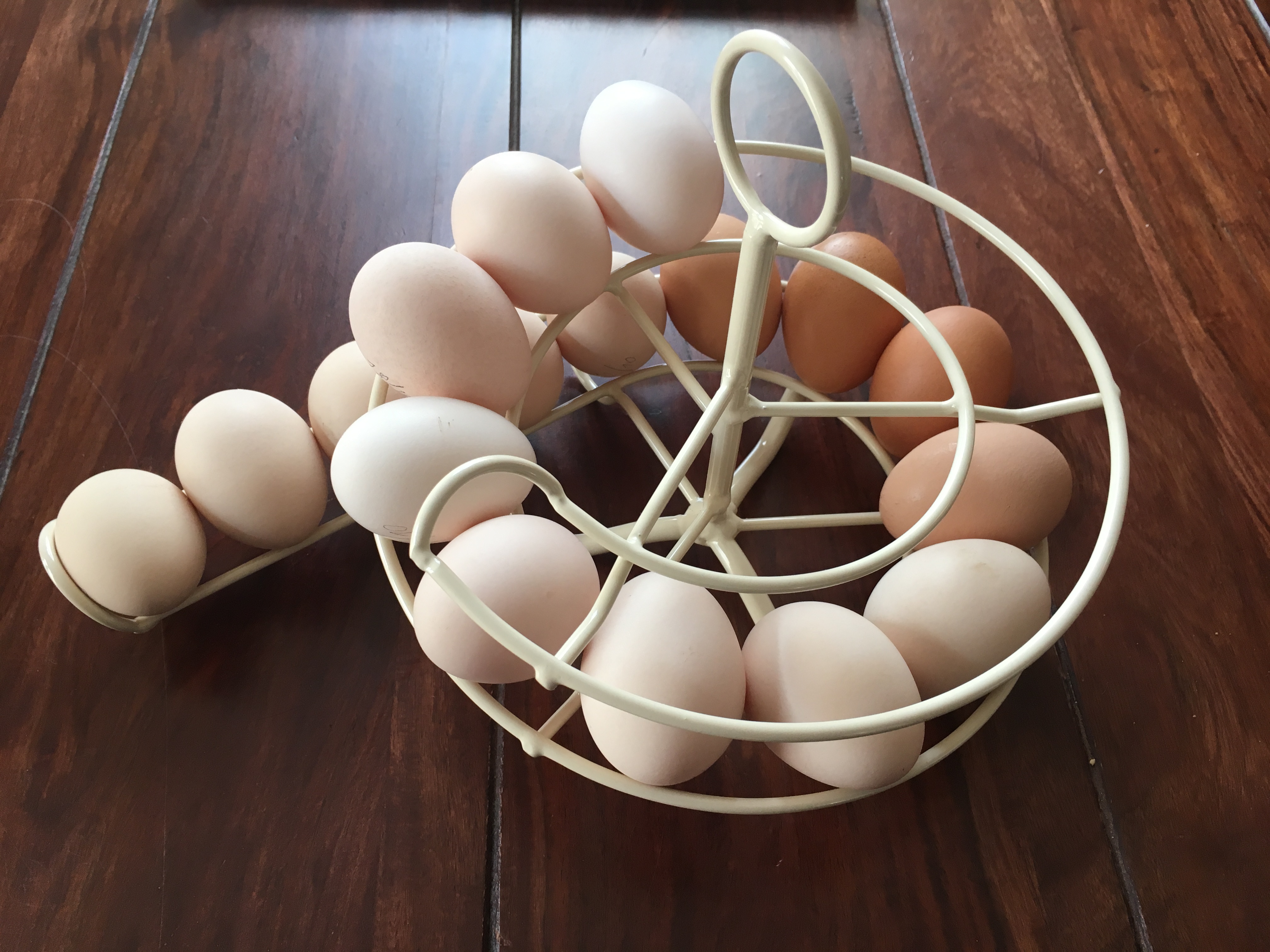 Egg Skelter Chicken Coops and Pet Chicken Accessories Omlet