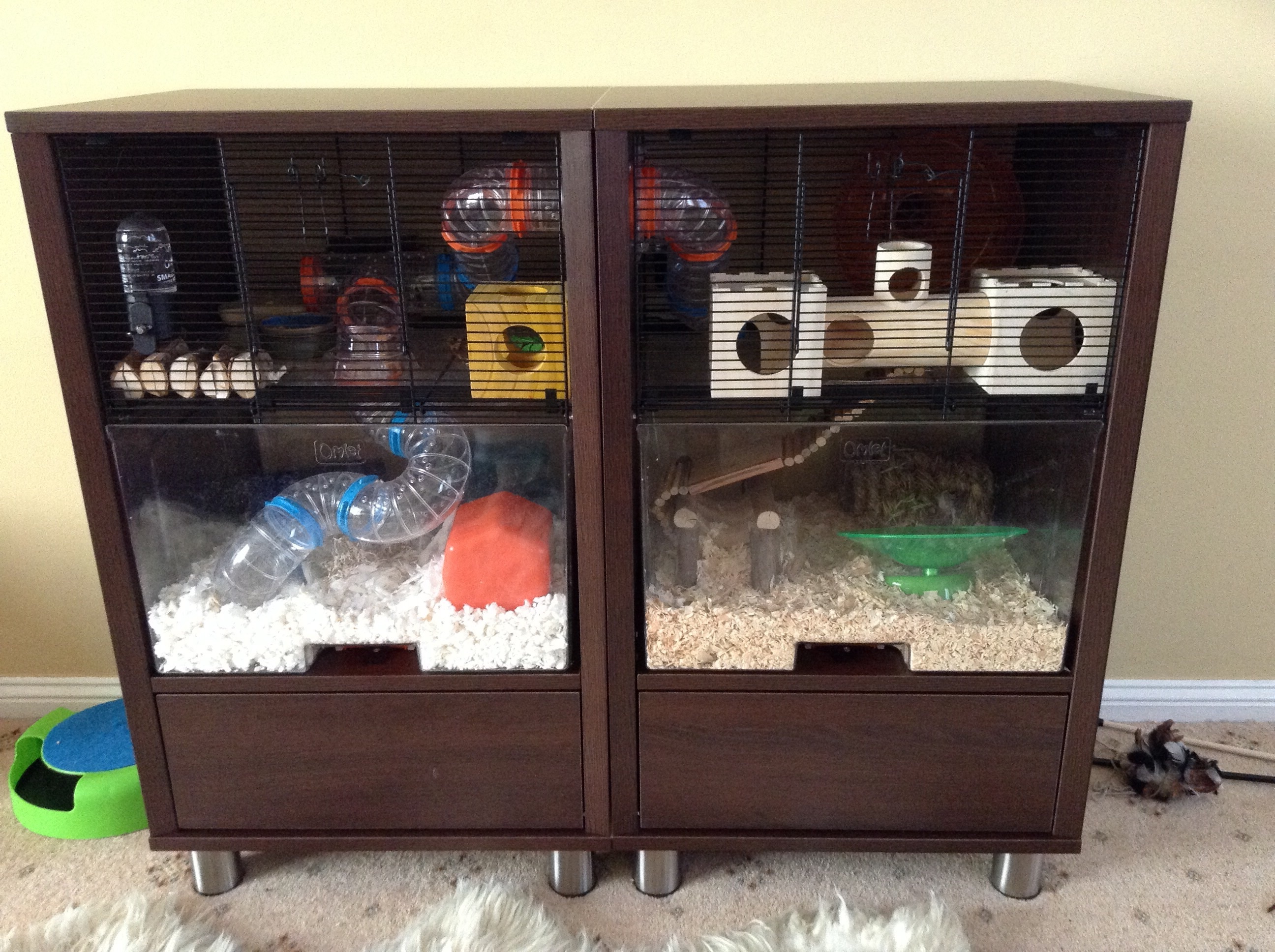 Qute Hamster and Gerbil Cage Hamsters and Gerbils Omlet