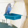 Budgie in bird bath in Geo bird cage with Gold cage and teal base