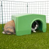 Zippi shelter rabbit green