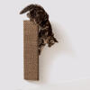 Cat scratching a cardboard scratching post attached to wall