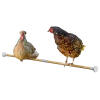 Double chicken perch