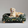 A miniature Golden retriever resting in the midnight meadow bolster dog bed