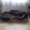 My dog love it