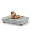 A puppy resting on the small Topology puppy bed with square wooden feet