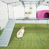 Omlet Zippi rabbit playpen with Zippi platforms, Caddi treat holder, purple Zippi shelter and two rabbits