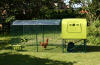 Side view of Eglu Cube chicken coop with run, clear cover and chicken