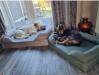 Best Dog Bed Ever !!!