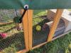 My rabbits absolutely love this! 