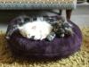Comfy cosy