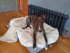 Zebedee loves his new bed