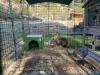 Perfectly designed rabbit playpen