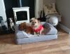Excellent dog bed!