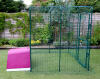 The Eglu Go attached to a walk in chicken run using a connection kit