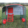 Give your chickens a combination of shade, light and shelter