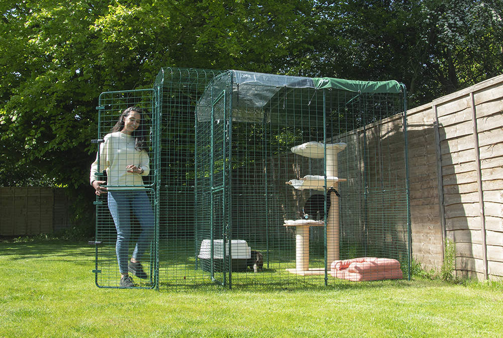 outdoor cat enclosure