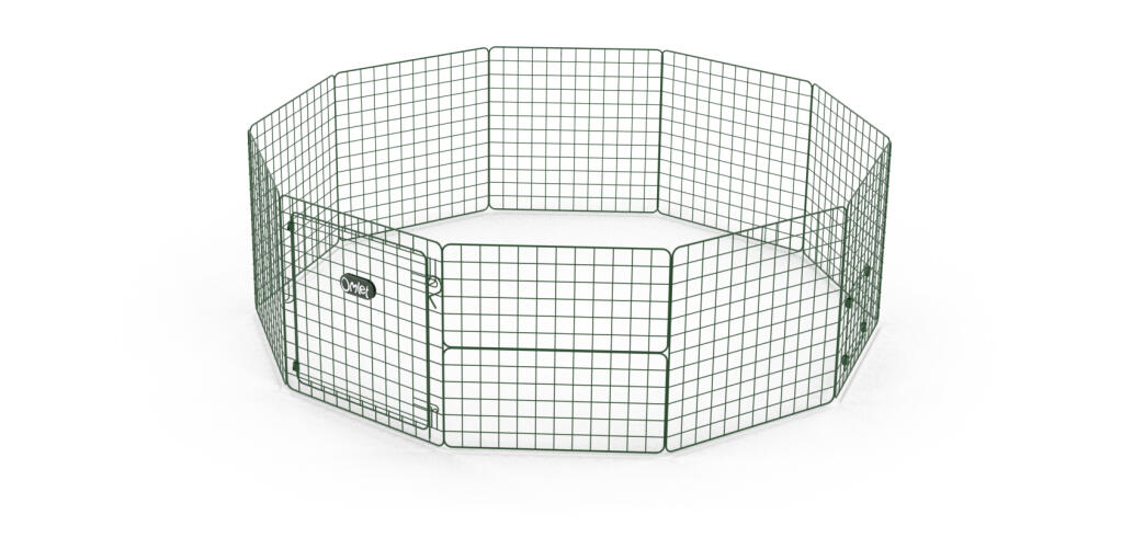 Zippi Guinea Pig Playpen Starter Pack Single Height Zippi Guinea Pig Run Playpen Guinea Pig Hutches Guinea Pig Runs And Guinea Pig Tunnels Omlet,Graffiti Fancy Writing Drawing Word Art