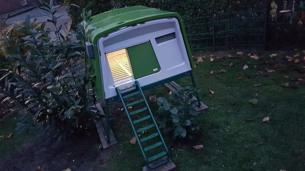 Automatic Chicken Coop Door with Coop Light - Green 