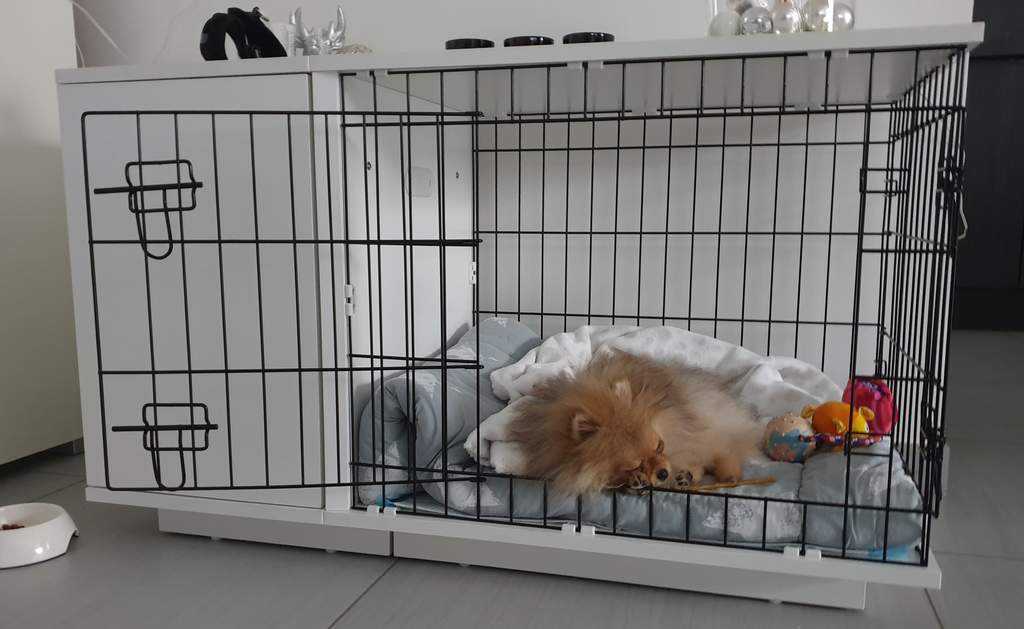 bench dog crate