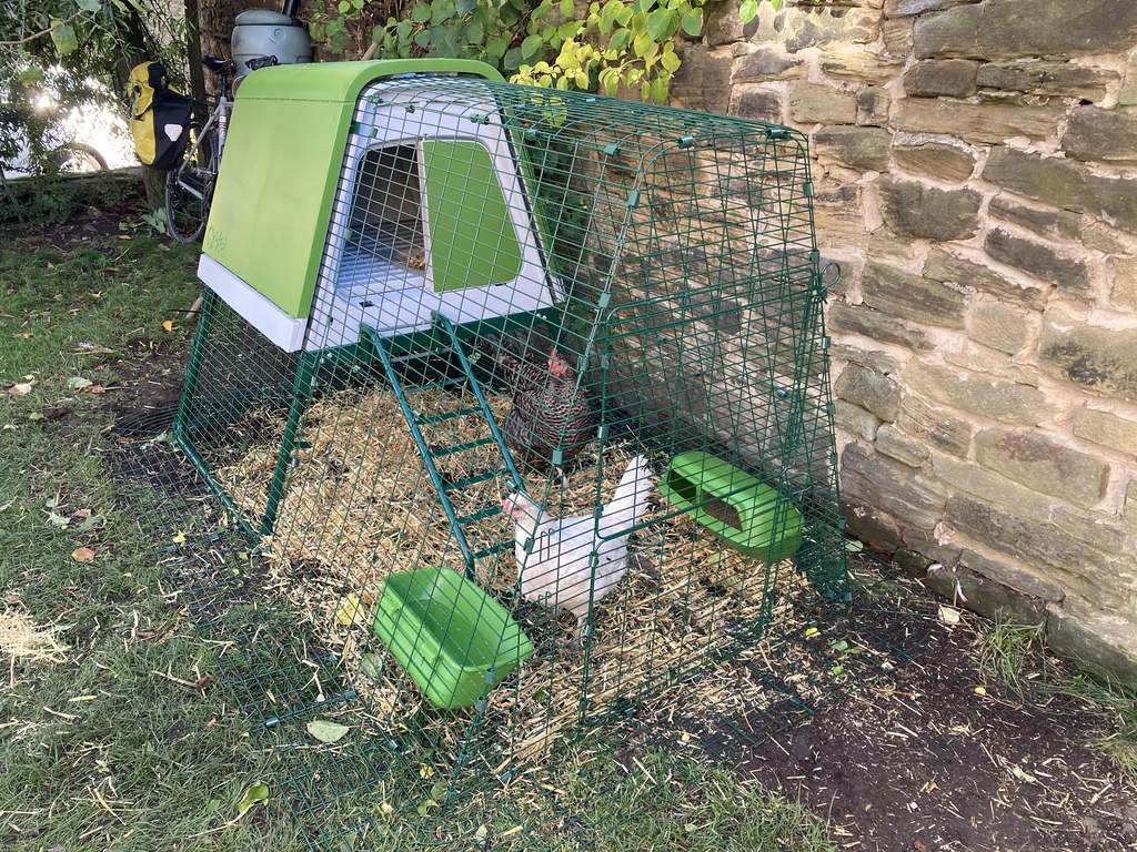 6ft Run for Eglu Go UP with Shade Eglu Chicken Runs