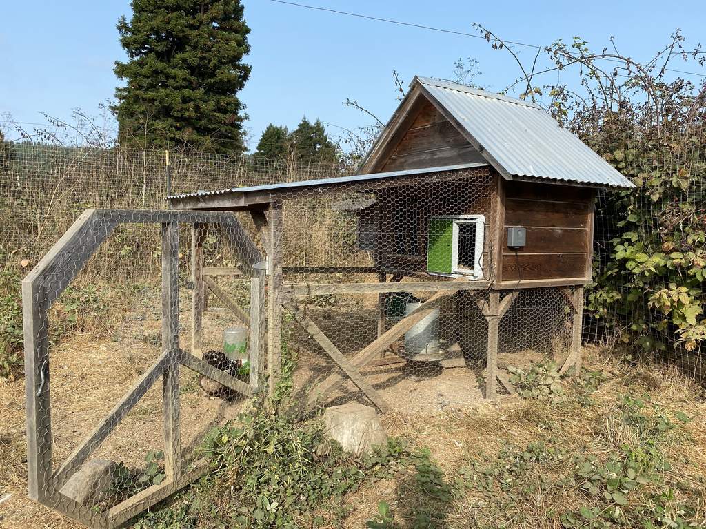 Automatic Chicken Coop Door Green New at Omlet Staff Picks Omlet