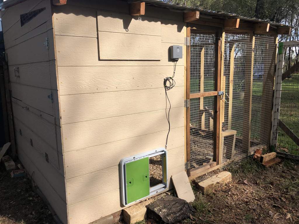 Automatic Chicken Coop Door Green New at Omlet Staff Picks Omlet