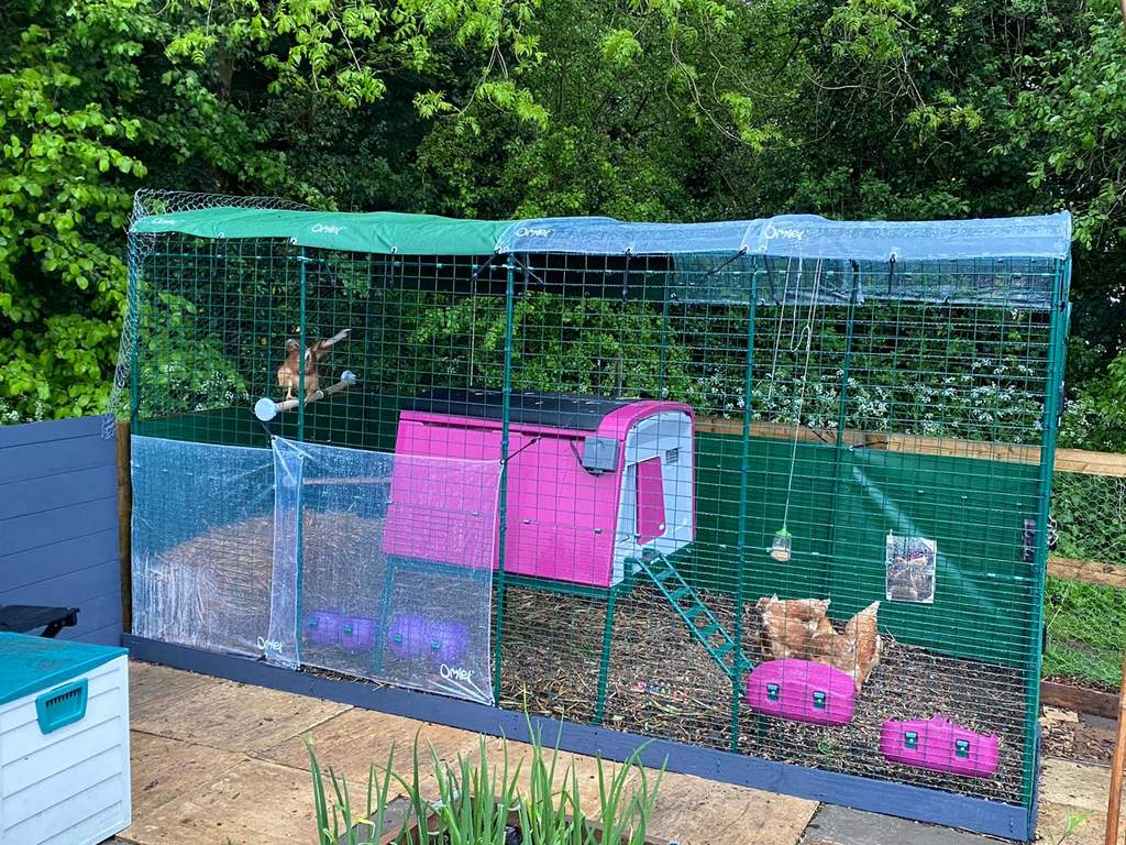 guinea pig run cover