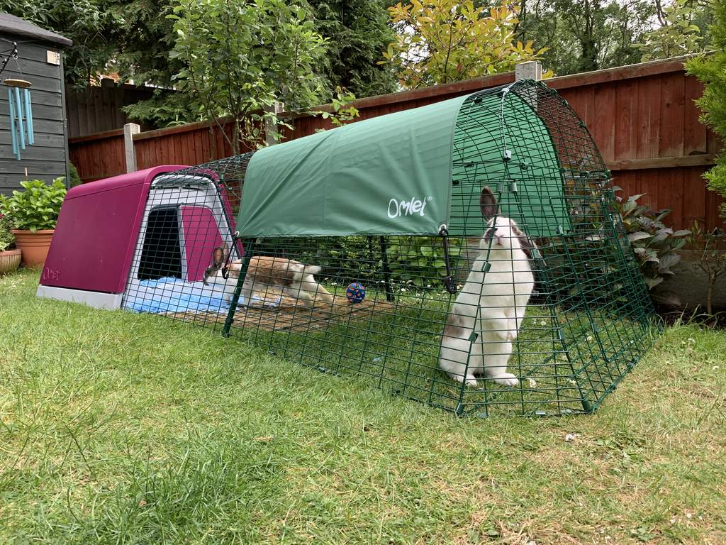 Eglu Go Rabbit Hutch with 6ft Run Package Leaf Green Black Friday