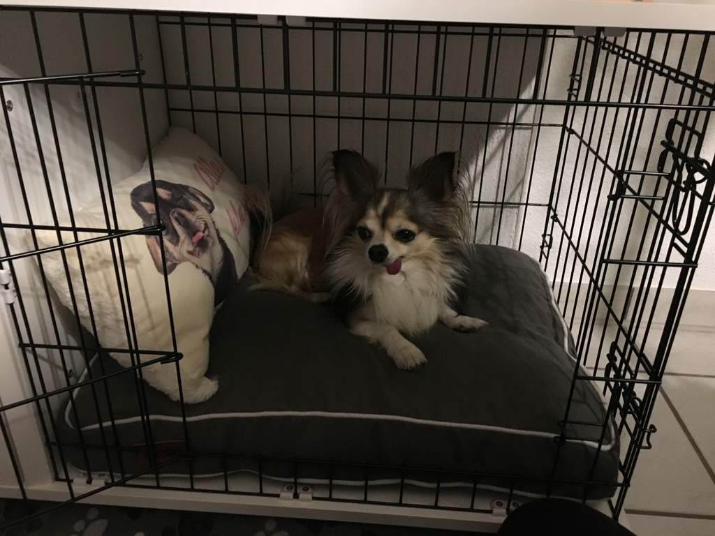 omlet fido studio dog crate