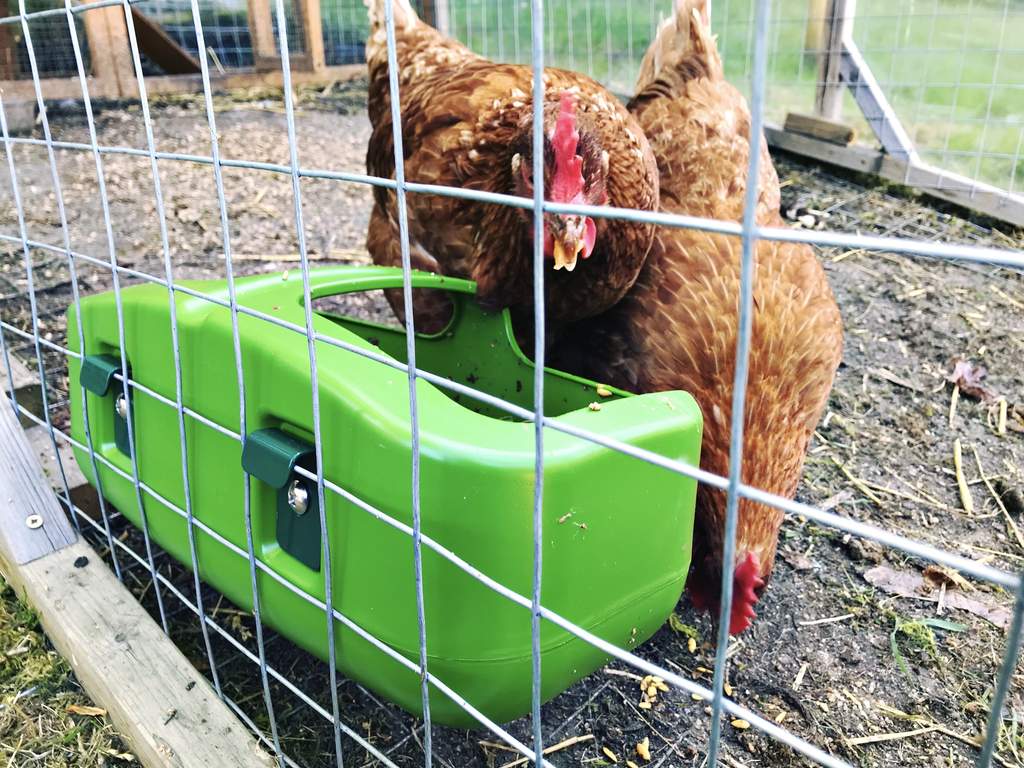 Eglu Cube Waterer Green Feeders & Waterers For Chickens