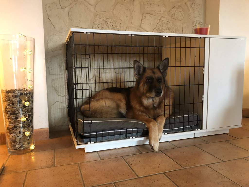 omlet dog crate review