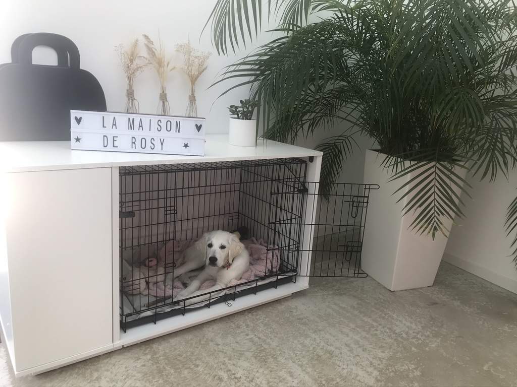 omlet dog crate review