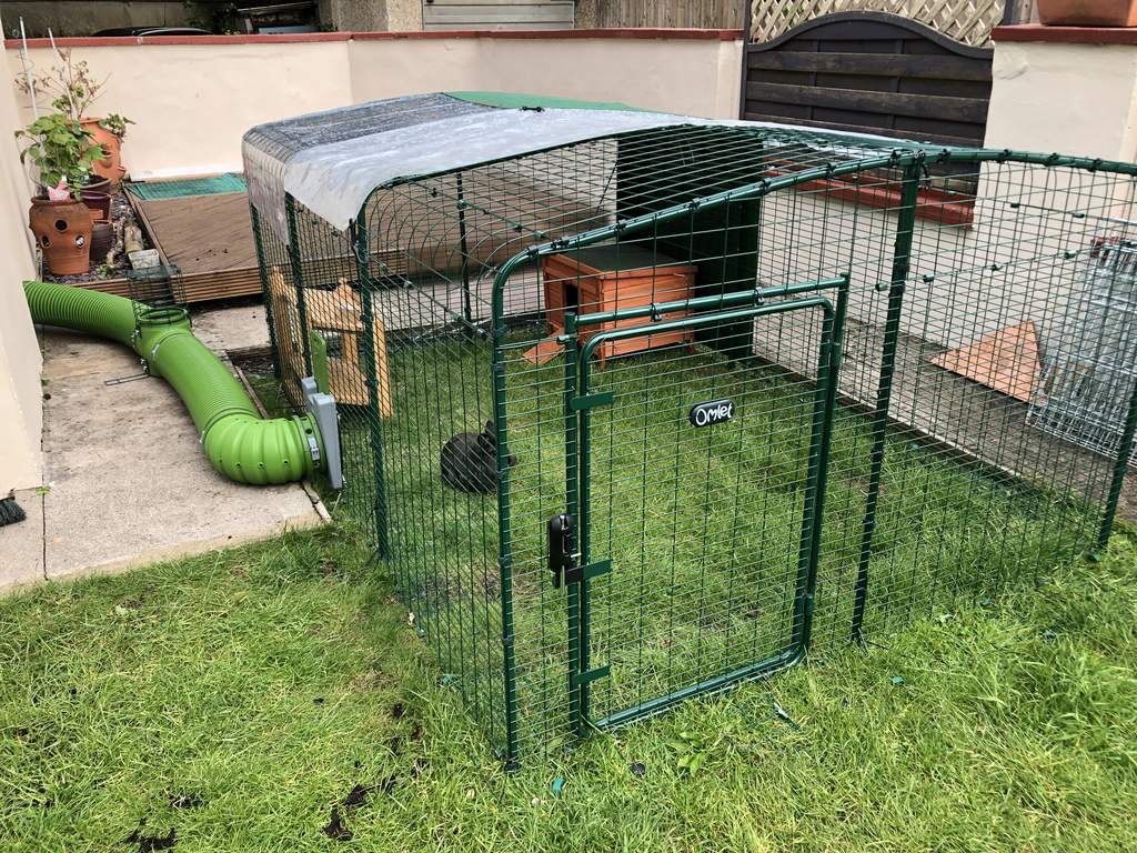 Outdoor Rabbit Run 6ft x 6ft x 3ft Black Friday Black Friday Omlet