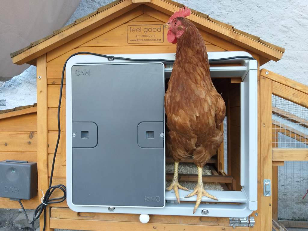 poultry farm automatic chicken door poultry farm automatic chicken door