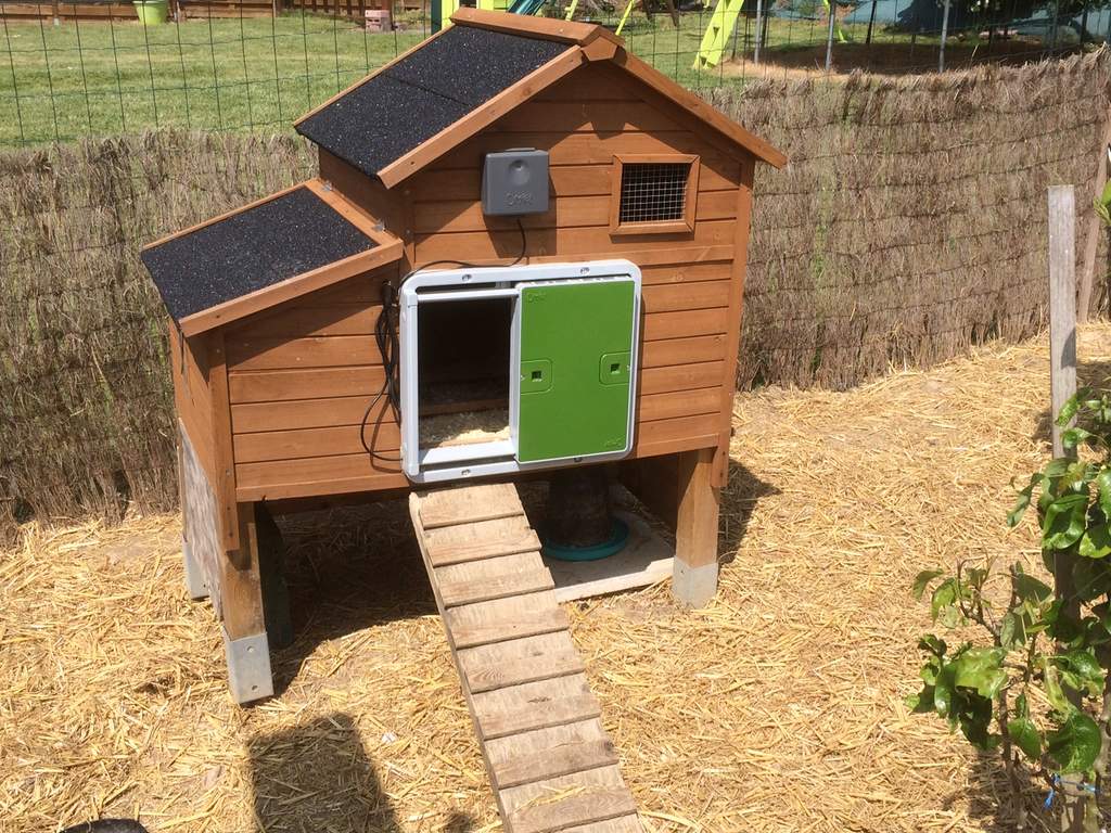 Automatic Chicken Coop Door Green New at Omlet Staff Picks Omlet