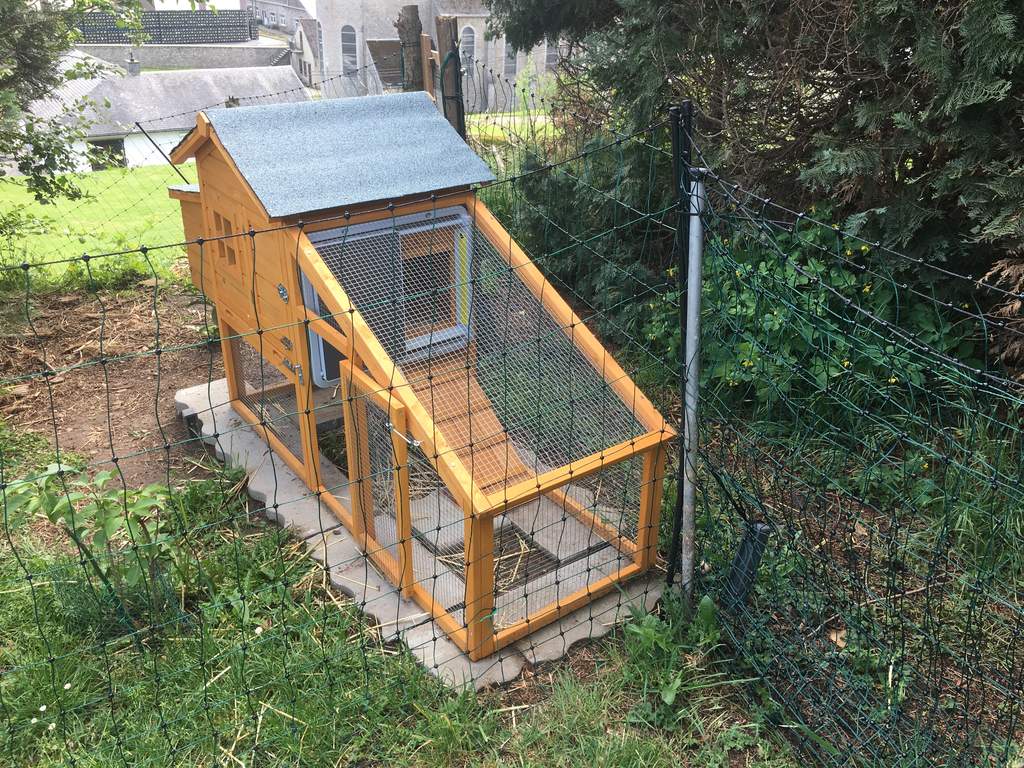 automatic chicken door automatic chicken door
