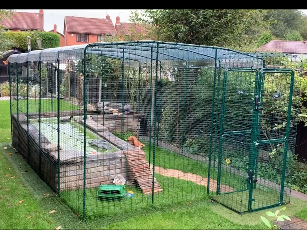 Walk in Chicken Run Porch Walk In Chicken Run Porch