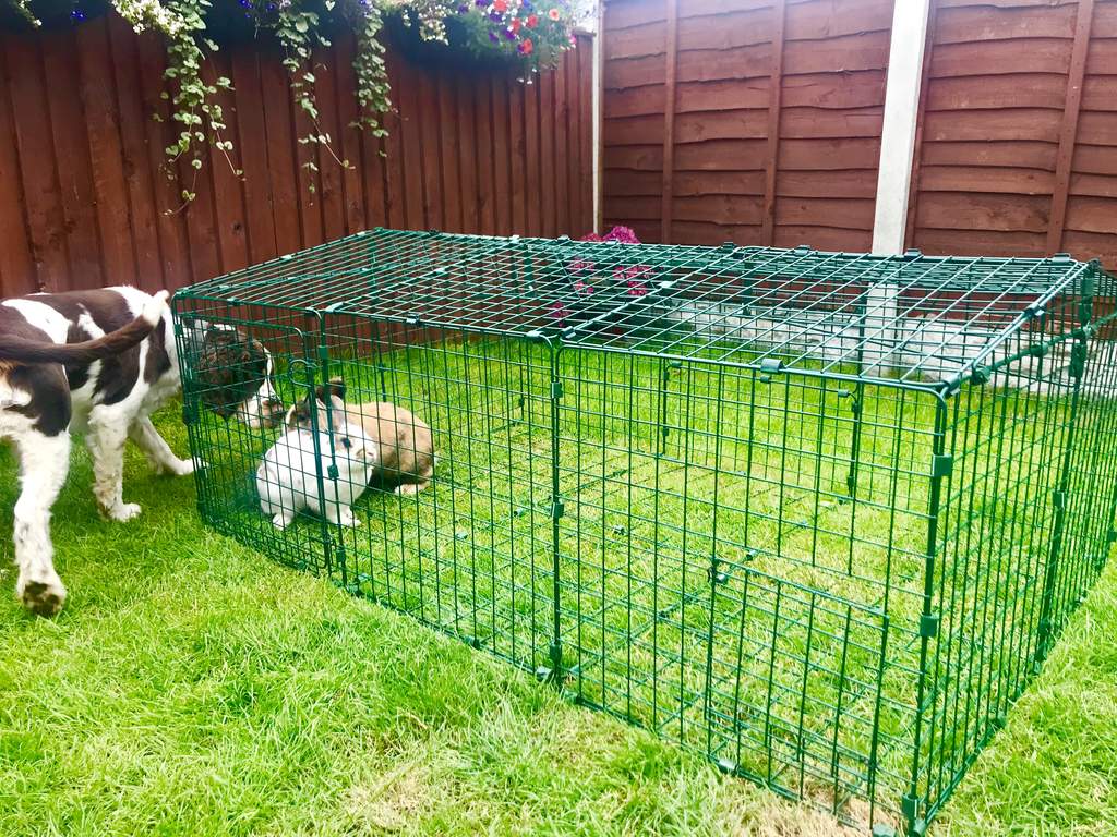 Zippi Rabbit Run with Roof and Underfloor Mesh Single Height Zippi Rabbit Run & Playpen
