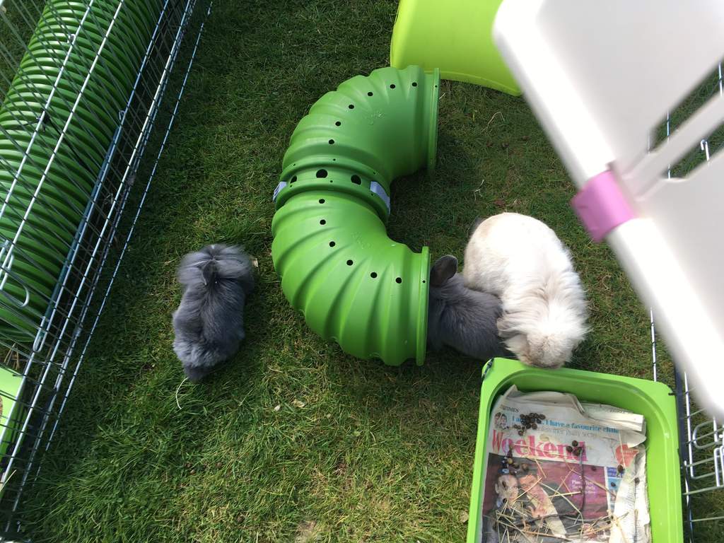 Zippi Tunnel Corner Zippi Guinea Pig Tunnel Accessories