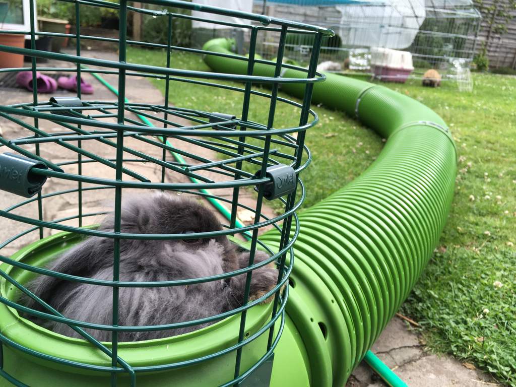 Zippi Tunnel Twin Pack with Corner and Hutch to Run Connection Kit