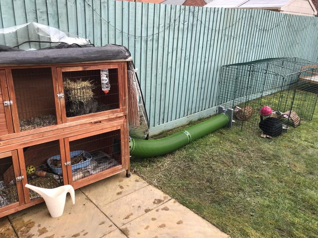 hutch with run attached