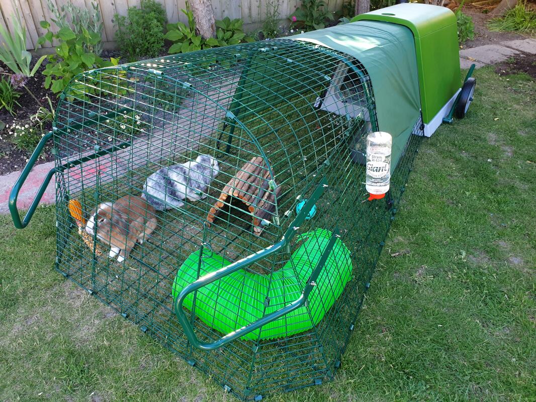Eglu Go Rabbit Hutch Plastic House and Run for Rabbits