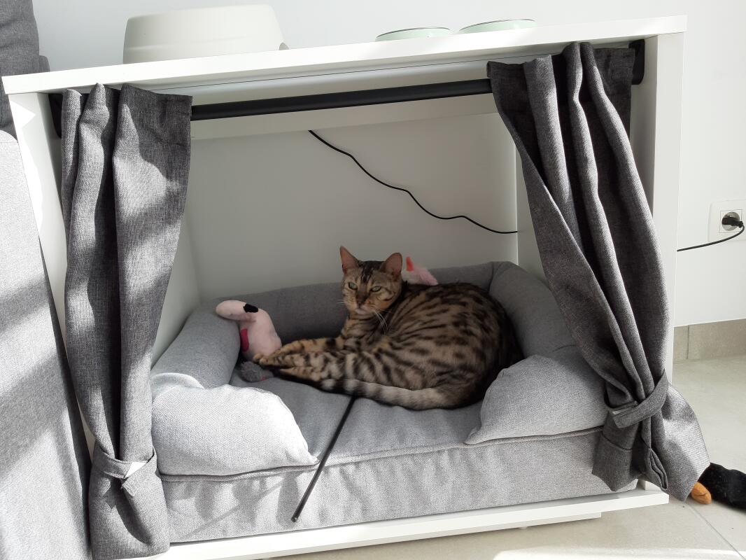 Luxury Indoor Cat House Maya Nook
